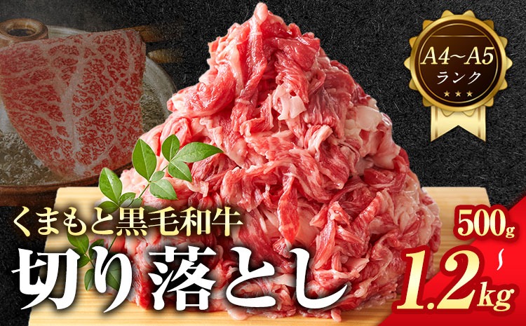 【A4～A5】くまもと 黒毛和牛 切り落とし 500g 1kg 1.2kg 《30日以内に出荷予定(土日祝除く)》熊本県 大津町 黒毛和牛 肉 お肉 和牛 牛 牛肉 A5 A4 小分け MEAT PLUS---so_fmpkkko_30d_r7_9000_500g---