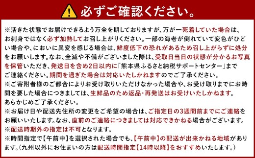 幸福堂 特選車海老 「 八幡瀬戸 」 約250g （ 8尾前後 ） 車海老 海老 エビ えび 車エビ 車えび 魚介 魚介類 海鮮 贈答 贈答用 国産 【 2026年11月15日以降2027年3月20日