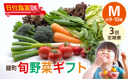 【３回定期便】綾町旬野菜ギフト（Mサイズ / 約9-10種）2～3人分/ 野菜 朝どれ 無農薬 減農薬 栽培期間中 有機栽培 産地直送 新鮮 旬 詰め合わせ サラダ 果物 きのこ類 やさい 送料無料 