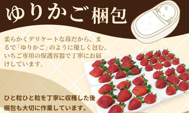 【先行予約】令和9年2月上旬頃出荷開始 いちごさん 8箱セット ふるかわ農園  農家直送品 果物 くだもの フルーツ 人気 ランキング 高評価 苺 イチゴ 佐賀 送料無料