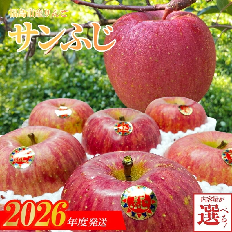 【ふるさと納税】高橋果樹園　「サンふじ」【2026年発送】選べる 内容量 約3kg 約5kg