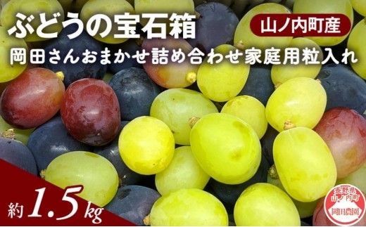 【2026年9月～発送】ぶどう ぶどうの宝石箱 岡田さんおまかせ詰め合わせ家庭用粒入れ約1.2kg 山ノ内町産 ブドウ 葡萄