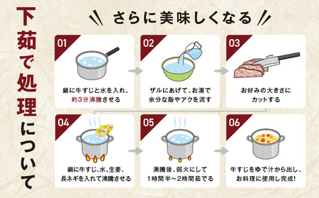 牛すじ肉 総量 2kg 真空パック 500g×4P【氷温熟成×極味付け 牛肉 お肉 小分け 冷凍 SDGs フードロス カレー 煮込みに】