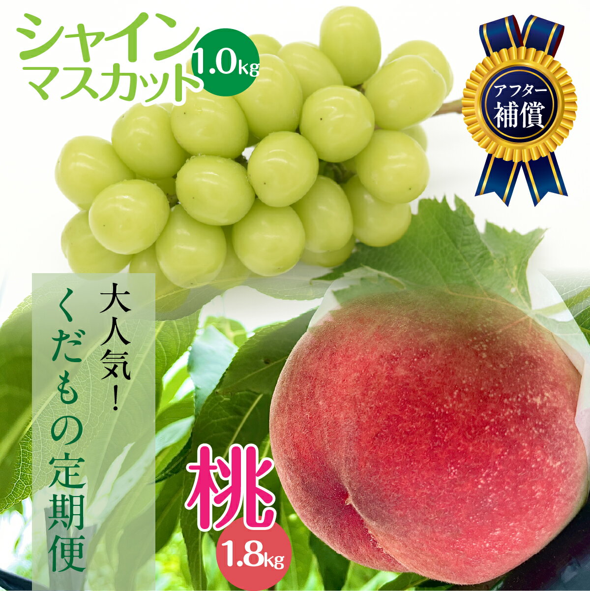 【ふるさと納税】【2026年発送★先行予約】大人気くだもの定期便全2回 ふるさと納税 シャインマスカット 桃 もも 笛吹市 国産 人気 期間限定 ぶどう ブドウ 葡萄 定期便 果物 フルーツ 山梨県 送料無料 157-011