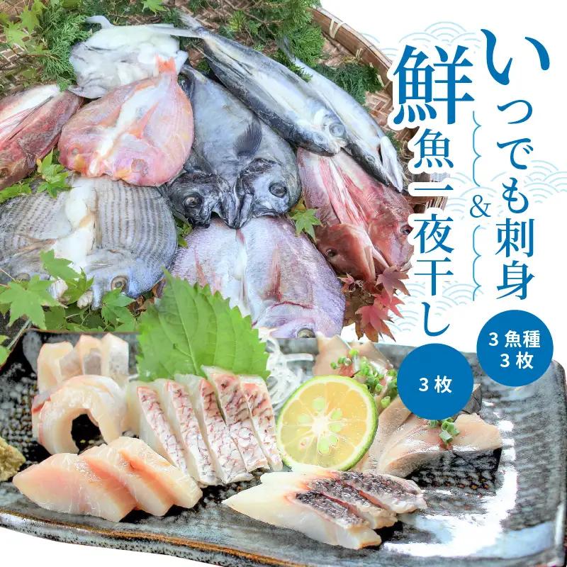 S059-005A_いつでも刺身 3魚種 3枚＆鮮魚一夜干し 3枚セット / 鮮魚 刺し身 お刺身 刺身 干物