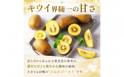 キウイ 定期便 3回 ゴールドキウイ キウイフルーツ さぬきゴールド 果物 フルーツ ヨーグルト アイス 朝食 おやつ ビタミン 香川県 丸亀市