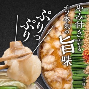 博多もつ鍋前田屋　味噌・醤油食べ比べセット（4～6人前）　KLM0605