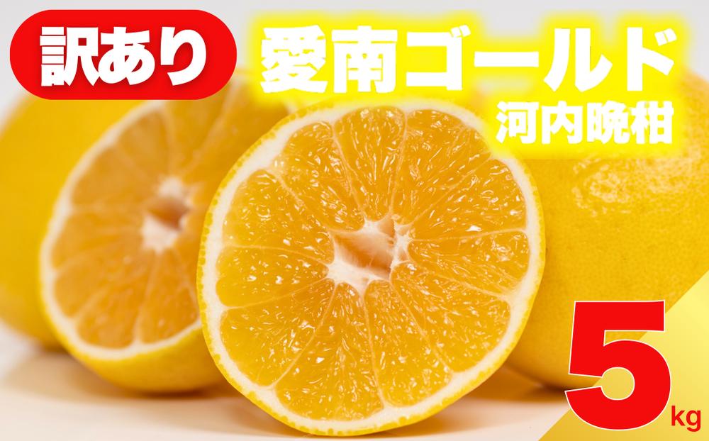
                  【 先行予約:2027年4月下旬～発送 】 訳あり 減農薬 愛南ゴールド 河内晩柑 5kg サイズ ミックス 家庭用 産直 農家直送 和製 グレープフルーツ 家庭用 甘い 爽やか 瑞々しい ジューシー 濃厚 旨味 酸味 旬 初夏 柑橘 みかん 蜜柑 不揃い サイズ混合 フレッシュジュース ゼリー ジャム マーマレード デザート サワー 先行予約 期間限定 数量限定 愛媛県 愛南町 愛南フルーツ
                