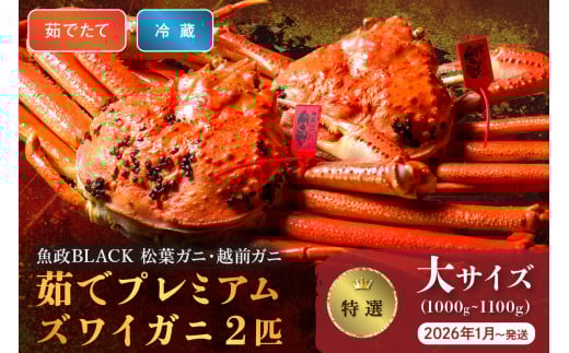 【蟹の匠 魚政】茹で　プレミアムズワイガニ 魚政BLACK（松葉ガニ・越前ガニ）特撰 大サイズ（1000～1100g） 2匹セット　 (2026年1月～発送)【平日】松葉蟹 蟹 かに カニ ガニ がに ボイル 海産物 甲殻類 海の幸 まるごと　UO01307