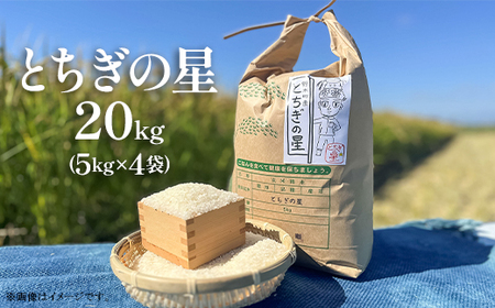 とちぎの星 20kg 5kg × 4袋 栃木県 野木町産 令和6年 KB04