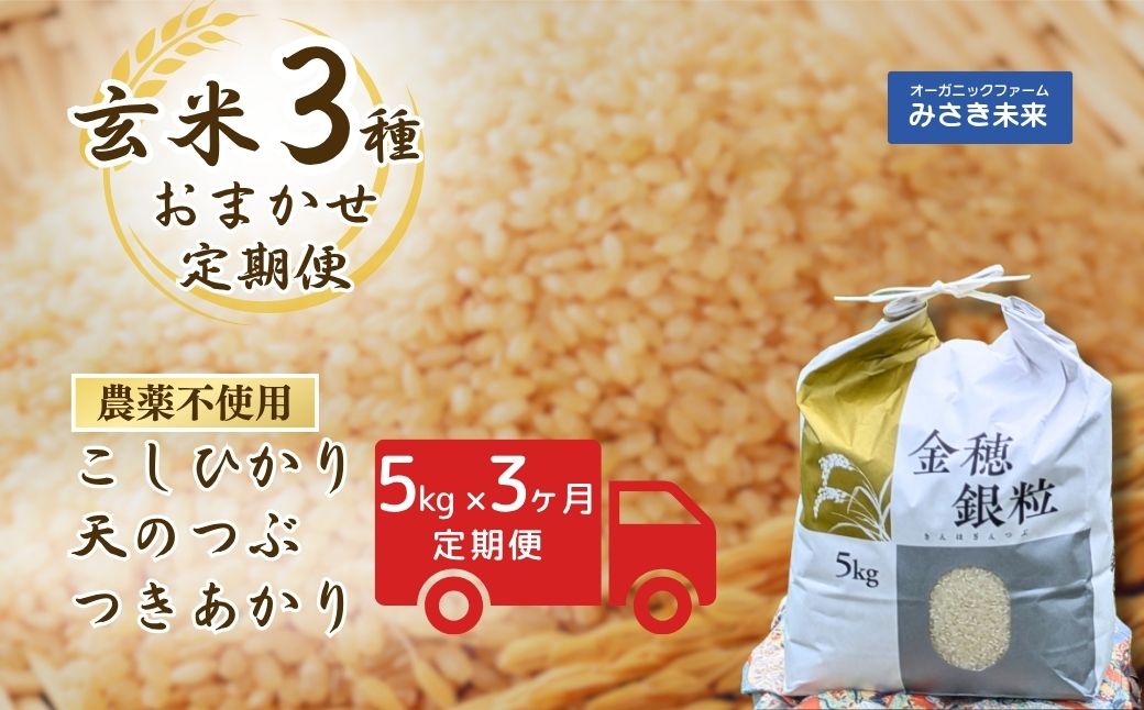 【3か月定期便】玄米おまかせ3品種 令和7年産 15kg (5kg×3回) 栽培期間中の農薬化学肥料不使用コシヒカリ・天のつぶ・つきあかり | みさき未来【121237-015-01】