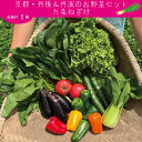 【ふるさと納税】 有機野菜・京野菜の『京都やおよし』の京丹後・亀岡市のお野菜＆九条ねぎ詰め合わせ 野菜 お野菜 京野菜 九条ねぎ 詰め合わせ ふるさと納税 野菜 セット