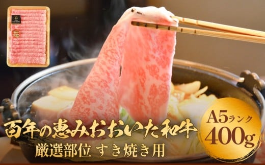 「百年の恵み おおいた和牛」A5すき焼き 400g おおいた和牛 黒毛和牛 A5 等級 牛肉 ロース 肩ロース もも 400g 霜降り 血統 大分 肉