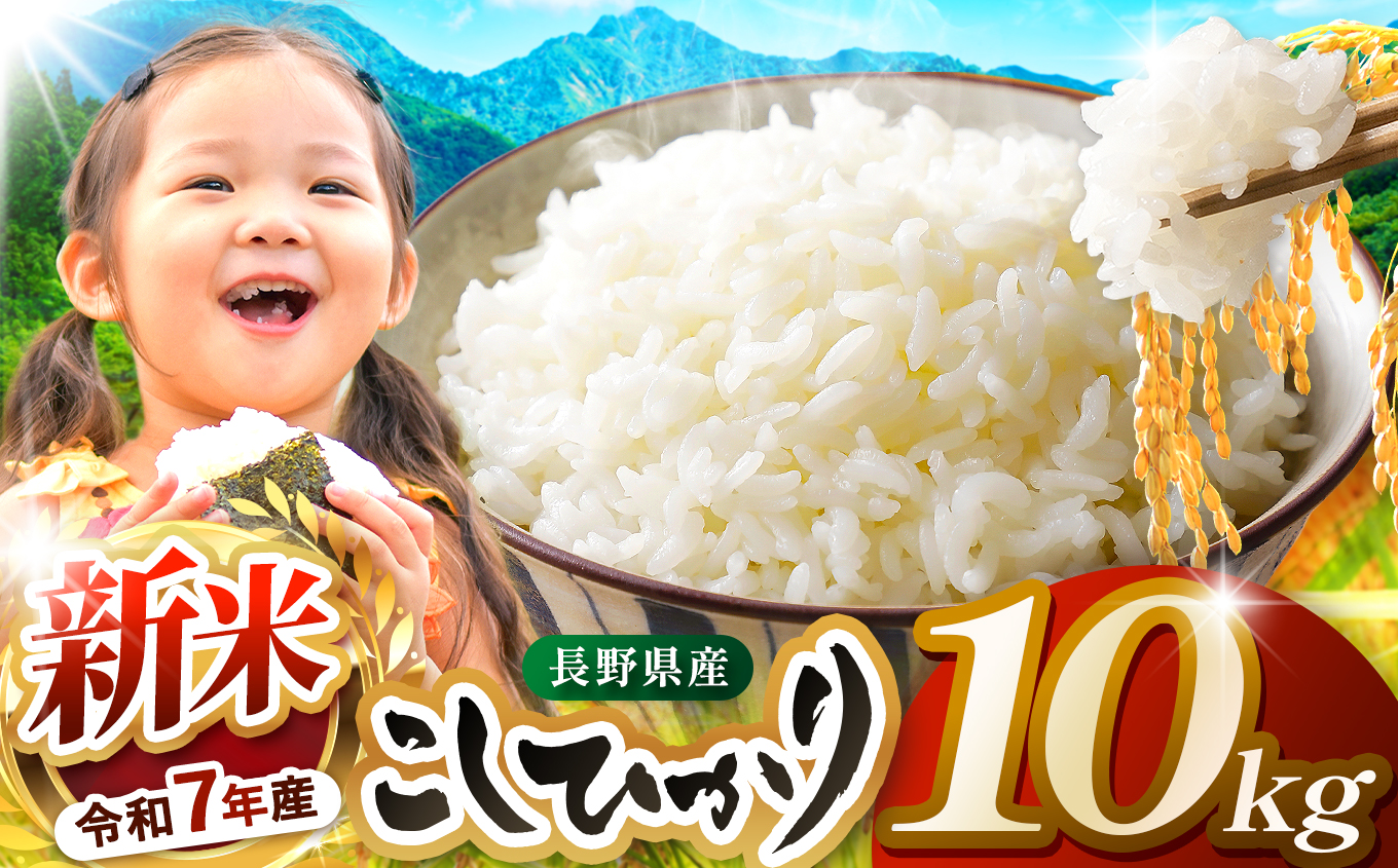 米 10kg  コシヒカリ 令和7年産 JA上伊那 新米 コシヒカリ 今ずり米 5kg 2袋 長野 上伊那産 お米 長野県産 こしひかり 10キロ 白米 精米 信州産 特産 産地直送 おすすめ こめ コメ おこめ 送料無料 長野県 伊那市【034-10】