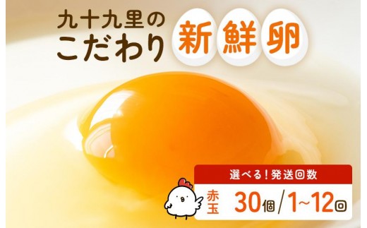
                  九十九里ファームこだわりたまご～あおい海・みどりの里～ 赤玉 30個 ／ たまご 卵 玉子 タマゴ 30個 定期便 1回 2回 3回 4回 5回 6回 7回 8回 9回 10回 11回 12回 卵かけご飯 新鮮 旨み 甘み 贈答用 贈答 ギフト 贈り物 九十九里ファーム 千葉県 匝瑳市 送料無料 期間限定
                