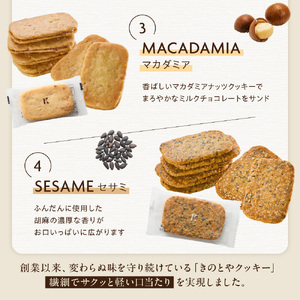 きのとやクッキー　12枚｜きのとや KINOTOYA スイーツ お菓子 北海道 札幌市