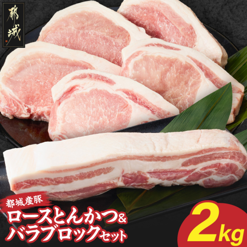 都城産豚ロースとんかつ&バラブロックセット2kg〔12-25-021-2kg〕