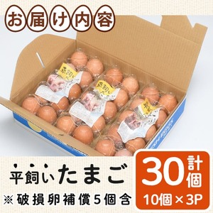 ＜数量限定＞香川県産 平飼いたまご(計30個・10個×3パック) 国産 卵 鶏卵 産地直送 ビタミン 新鮮 こだわり 安心 【man120】【翔洋舎】