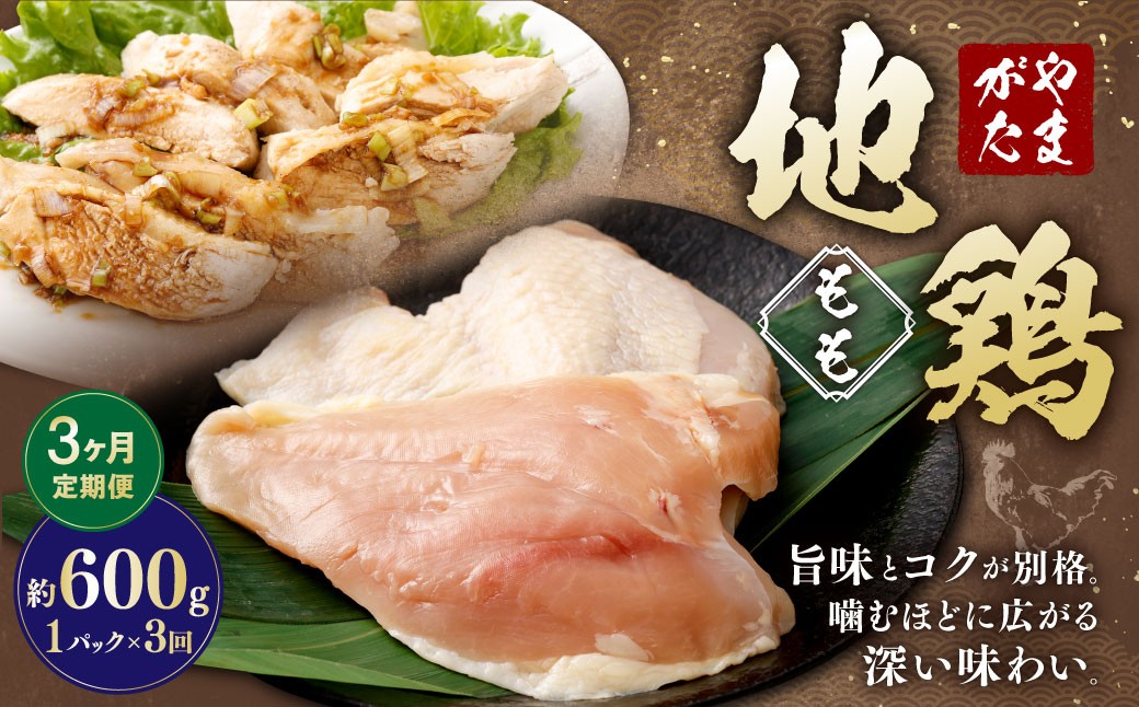 
            【3ヶ月定期便】 やまがた地鶏 もも 約600g 3回 計1.8kg 地鶏 モモ肉 国産 お取り寄せ
          