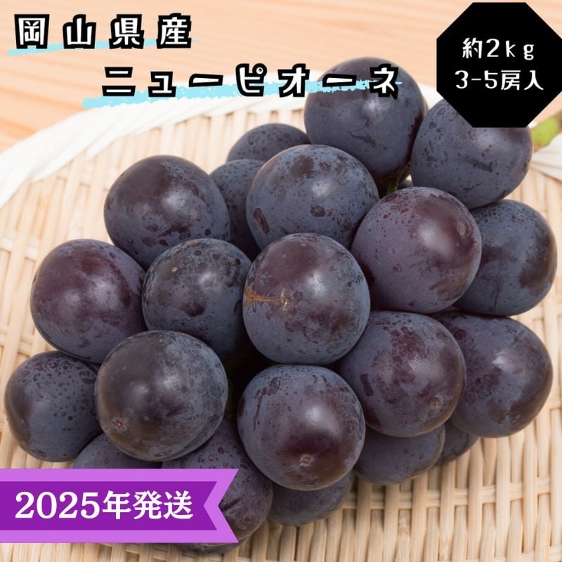 
            【2025年先行受付】 ぶどう ニューピオーネ 秀品 約2kg(3～5房) 岡山県産 ぶどう 葡萄 ブドウ ギフト 御礼 プレゼント 御礼 御祝 御供 果物 くだもの フルーツ [№5735-3345]
          