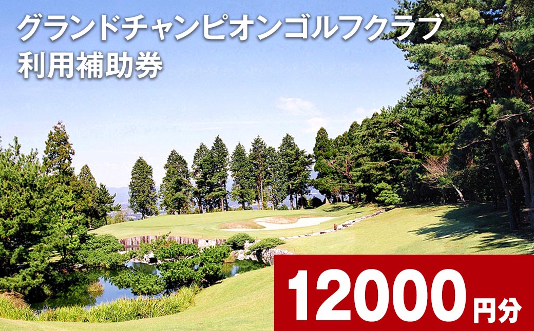 グランドチャンピオンゴルフクラブ 利用補助券 12000円分  1000円×12枚