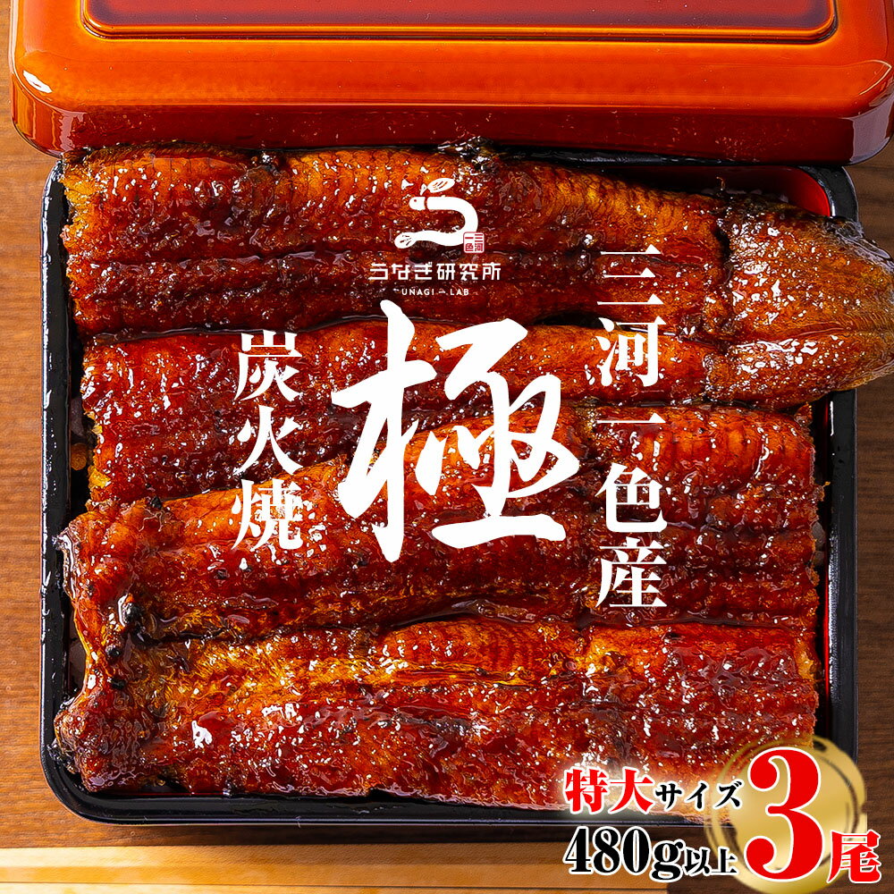 【ふるさと納税】三河一色産うなぎ蒲焼特大3尾(480g以上)・R008 うなぎ 鰻の蒲焼 蒲焼 鰻蒲焼 たれ タレ付き 三河一色産 ブランド鰻 一色産うなぎ 惣菜 肉厚 脂乗り 国産 愛知県産 特産品 グルメ 贈り物 ギフト おすすめ 冷凍 愛知県 西尾 送料無料