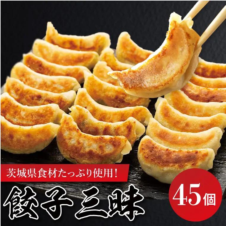 餃子三昧（EQ-1）