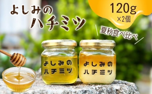 【よしみのハチミツ】 夏秋食べ比べ 120g×2本 ハチミツ はちみつ 蜂蜜 国産 下関産 無添加 非加熱 はちみつ HONEY ハニー  健康 朝食 プレゼント (トースト ホットケーキ パンケーキ ミツバチ ヨーグルト) 養蜂 下関 山口