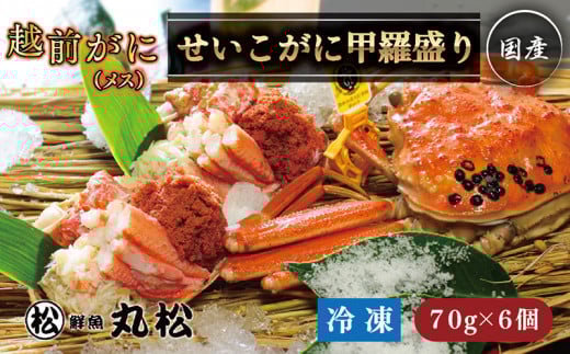 【冷凍発送・指定日着可】越前がに（メス）せいこがに 甲羅盛り(70g×6個） プロトン凍結