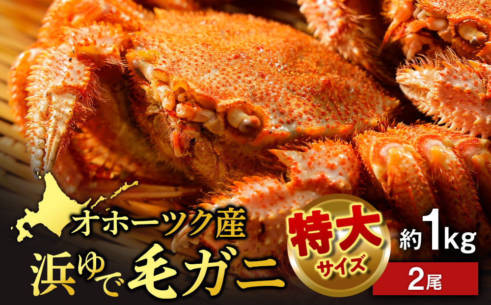 ボイル毛ガニ 1kg 2尾