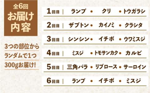 ＜6回定期便＞佐賀牛希少部位含む～ひとり贅沢焼肉コース～ ランプ/クリ/トウガラシ/ザブトン/カイノミなど【ミートフーズ華松】 [FAY072]