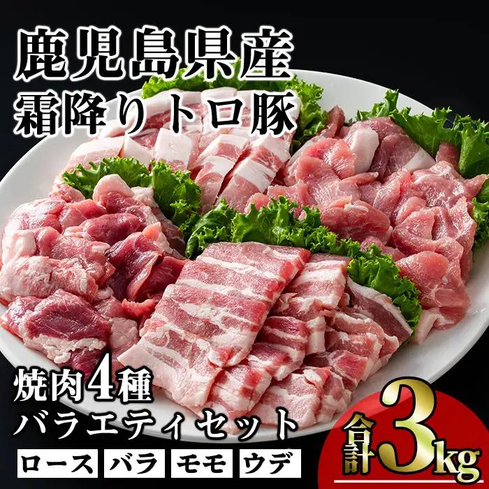 鹿児島県産 豚肉 霜降り トロ豚 焼肉 バラエティ セット(合計3kg)【KNOT】 A566-v01