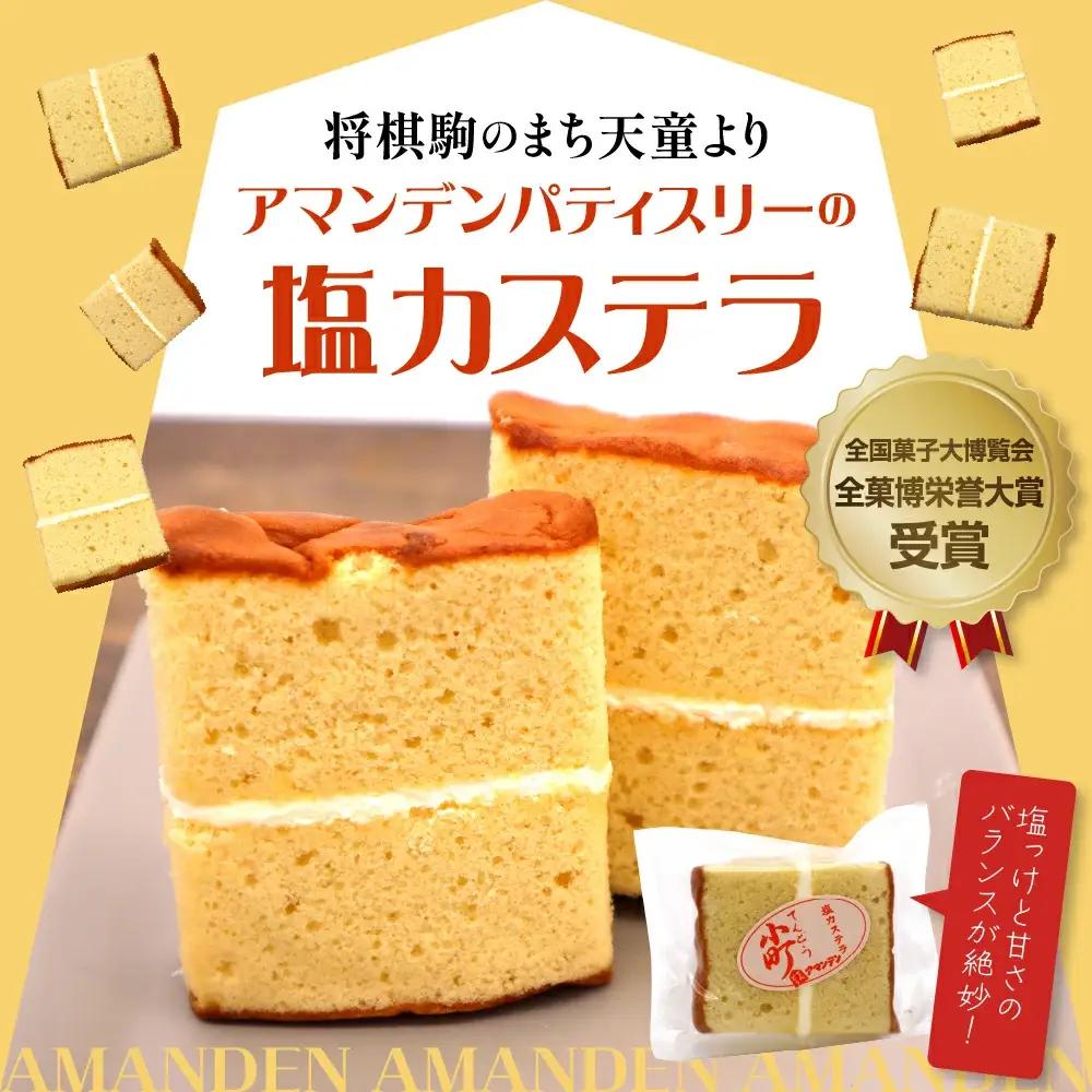 塩カステラ てんどう小町 18個入り スイーツ お菓子 カステラ