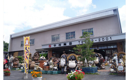 【信楽焼】白釉上絵付カップ&ソーサー   うつわ nwu-025