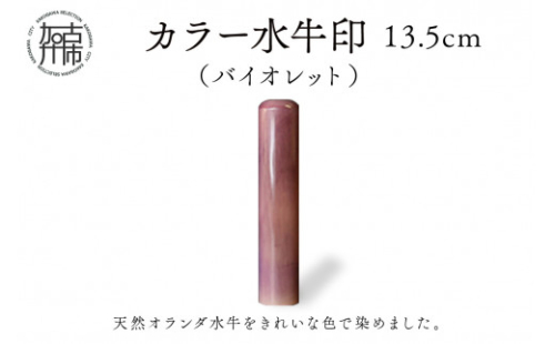 カラー水牛印【天然オランダ水牛】(バイオレット)13.5mm