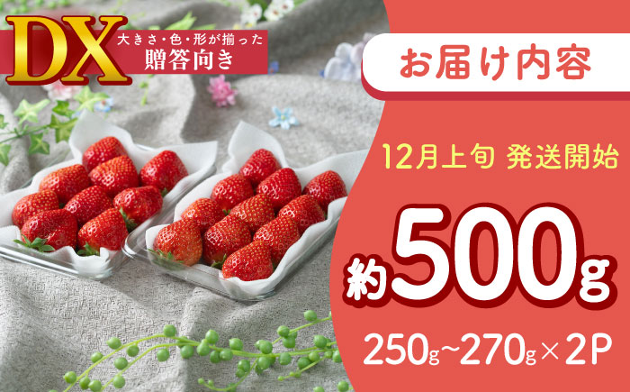 【2025年12月上旬より順次発送】フルーツソムリエが選んだ【冬】あまおうDX(デラックス)2パック 吉富町/南国フルーツ株式会社 [BGAG020]