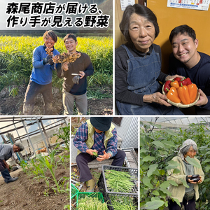 新鮮 野菜セット ( 7～8品 ) 季節の野菜