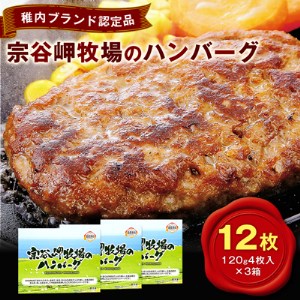 【稚内ブランド認定品】宗谷岬牧場のハンバーグ　120g4枚入×3箱(合計12枚)【配送不可地域：離島】【1019688】