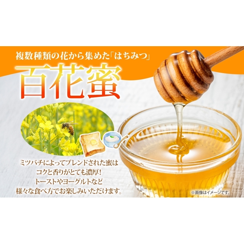 北海道 美深産 はちみつ 3種 そばはちみつ 百花はちみつ あざみはちみつ 各50g 蕎麦蜜 蕎麦はちみつ ソバはちみつ 百花蜜 百花蜂蜜 アザミはちみつ アザミ蜜 国産 生はちみつ 無濾過 非加熱 