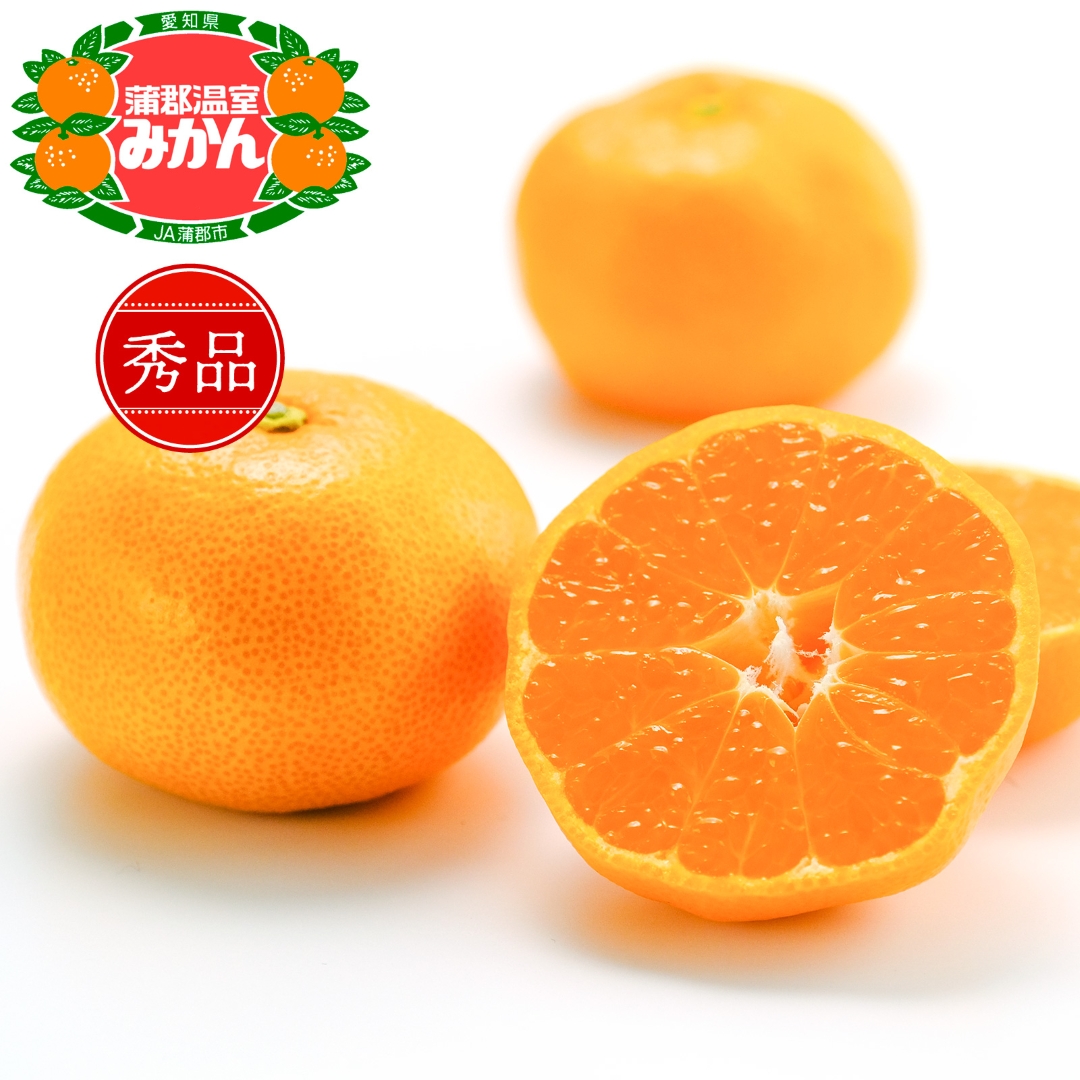 【期間限定】蒲郡温室みかん ５kg（秀品）_【G0356】