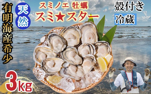 
                  【先行予約】天然 有明海産「冷蔵スミノエ牡蠣」スミ☆スター3Kg 殻付き牡蠣 かき 牡蠣 カキ 鍋 海産物 貝類 貝 はしま海苔
                