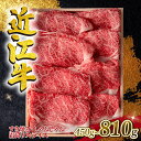 【ふるさと納税】 近江牛 すき焼き・しゃぶしゃぶ用スライス 霜降 450g 630g 810g A4 ~ A5 ランク 毛利志満 ( 近江牛 ブランド和牛 近江牛 牛肉 近江牛 すきやき しゃぶしゃぶ 国産 近江牛 人気 近江牛 神戸牛 松阪牛 に並ぶ 日本三大和牛 ふるさと納税 )