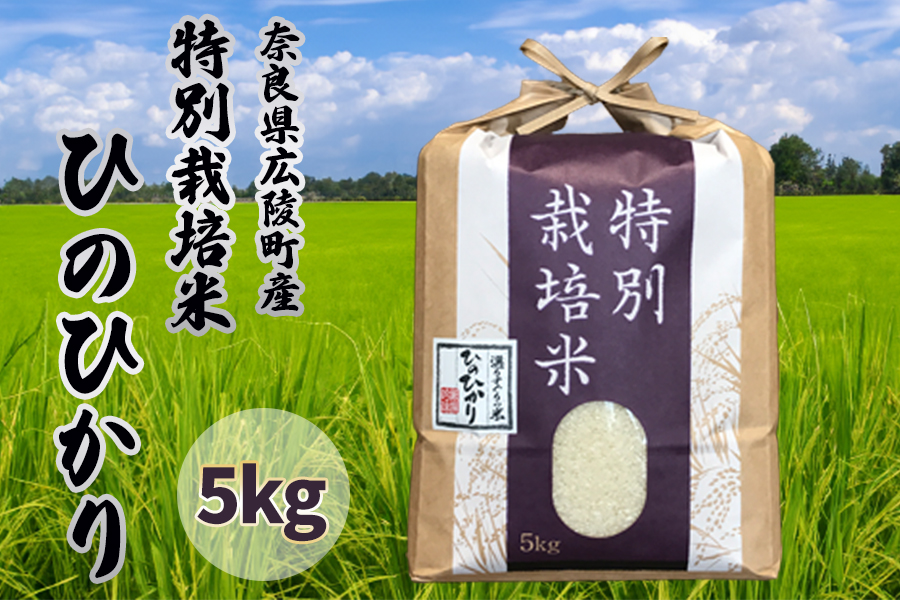 【新米先行受付】【令和7年度産】【11月下旬より順次発送予定】奈良県産　特別栽培米　ひのひかり 5kg/// ひのひかり ヒノヒカリ 特別栽培米 セット 米 お米 おにぎり おむすぎ ご飯 仕送り ギフト 贈答 農家 直送 奈良県産 奈良県 広陵町