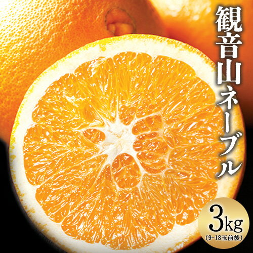 【ふるさと納税】観音山ネーブル 3kg (約9玉-18玉前後) 有限会社柑香園【先行予約】《2026年2月中旬-3月中旬頃出荷》和歌山県 紀の川市 フルーツ 果物 柑橘 ネーブル