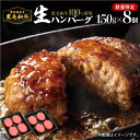 【ふるさと納税】【毎月 数量限定】 黒毛和牛100％ 生ハンバーグ 150g x 8個 送料無料 鹿児島市 鹿児島県産 九州 黒毛和牛 和牛 ビーフハンバーグ ハンバーグ 肉肉しい 旨味 特産品 プレゼント ギフト 贈り物 お取り寄せ 地域の品 絶品 食品 加工品 加工肉 冷凍 人気