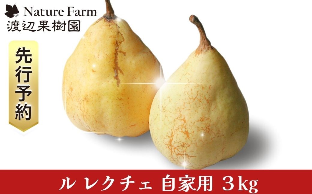 
                  先行予約 ル レクチェ 自家用 3kg (6~10玉) 令和8年度 西洋梨 ル レクチエ 洋梨 化粧箱 洋ナシ ル・レクチェ [渡辺果樹園] 【014S042】
                