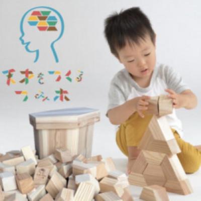 ふるさと納税 日向市 天才をつくる積み木-てんつみ-　72個入り・スツール型木箱