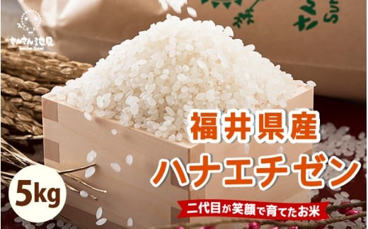 【先行予約】【令和7年産・新米】ハナエチゼン 5kg 華越前 ～坂井市三国町産・こだわりの精米対応～（無洗米）【2025年8月下旬以降順次発送予定】 [A-0255_05]