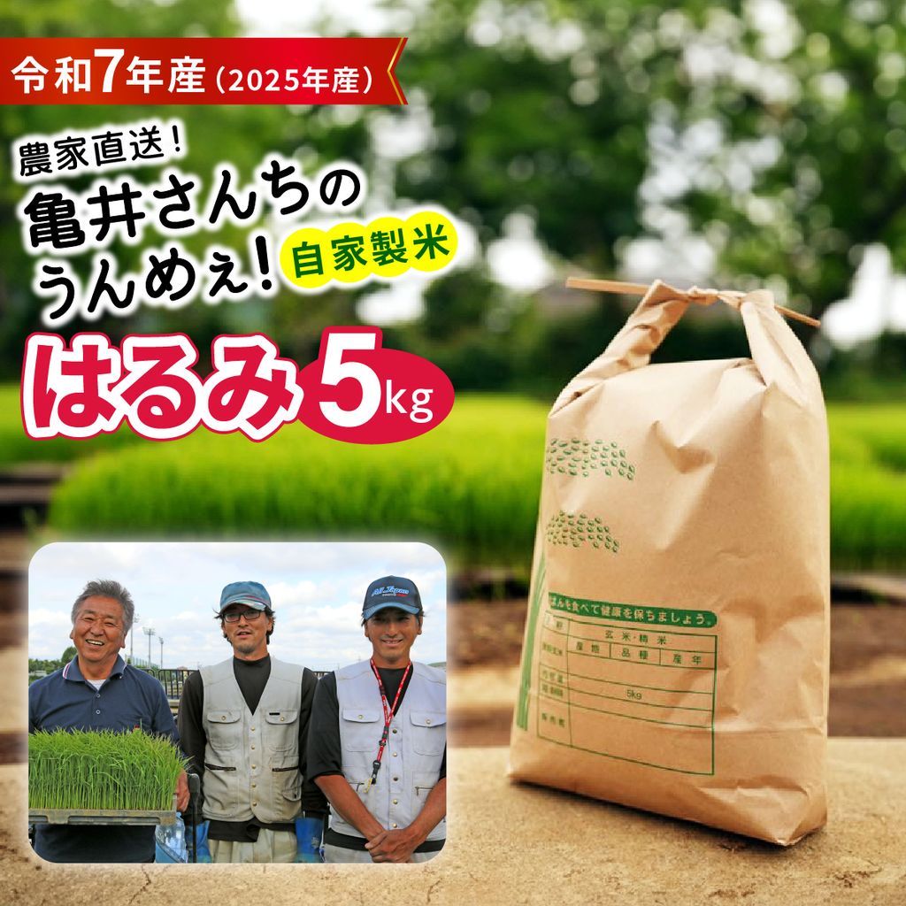 【ふるさと納税】新米 [令和7年産] 伊勢原産 精米 5kg はるみ 農家直送！亀井さんちのうんめぇ！自家製米｜お米 おこめ コメ 白米 神奈川 伊勢原 ブランド米 2025年 産地直送 先行予約 予約受付 [0355]