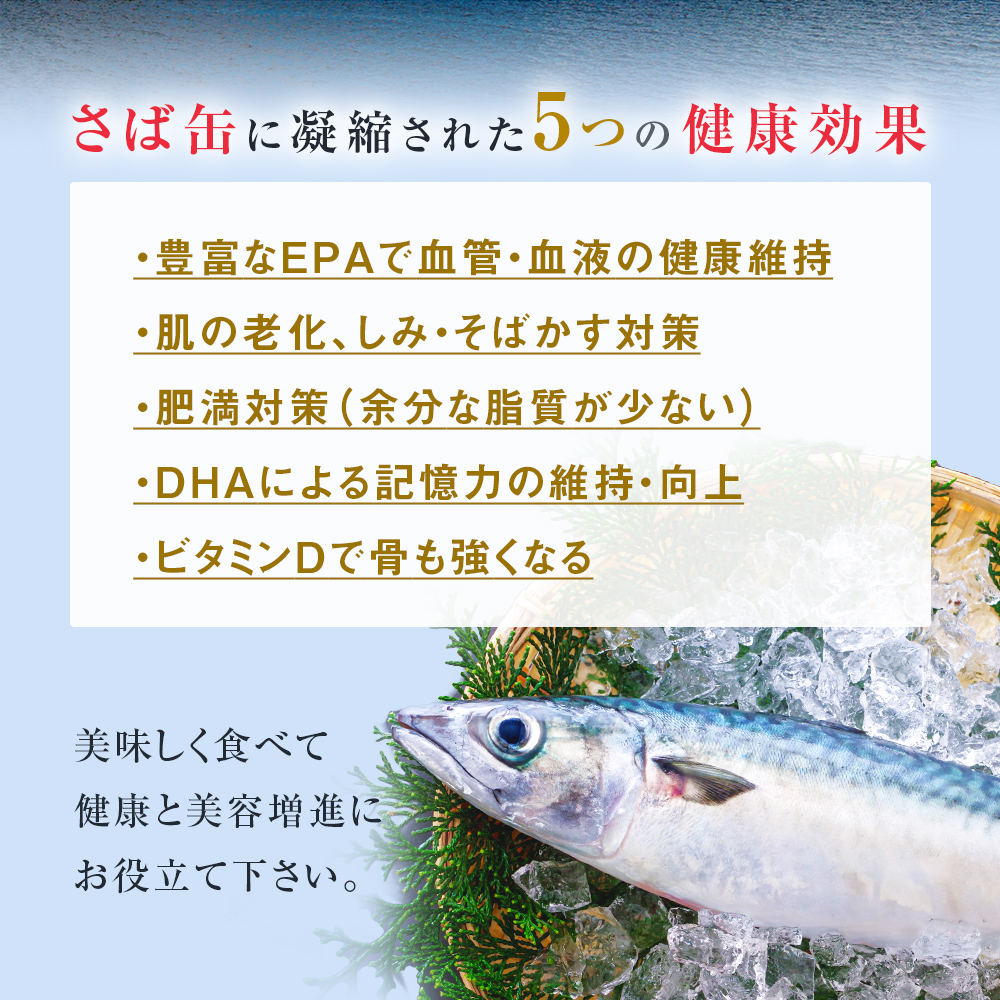 【1月配送】缶詰 さば缶詰 味噌煮 12缶 サバ缶 鯖缶 さば缶 